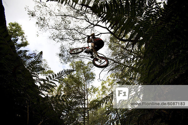 A Trials rider jumps a large gap at Toohey Forest  Brisbane  Queensland  Australia.