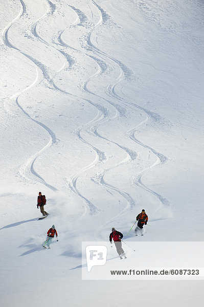 Führung  Anleitung führen  führt  führend  Berg  folgen  unbewohnte  entlegene Gegend  Ski  Selkirk Mountains  Kanada  Hang