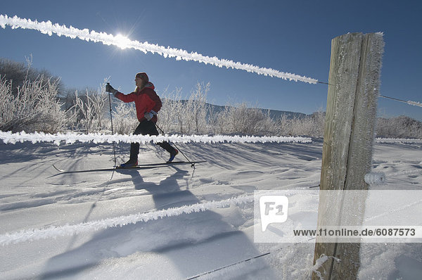 überqueren  Frau  bedecken  Tal  Fluss  Skisport  Zaun  Colorado  Kreuz  Durango  Frost