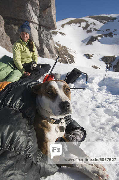 A woman melting snow next to her dog in a sleeping bag  San Juan National Forest  Colorado.