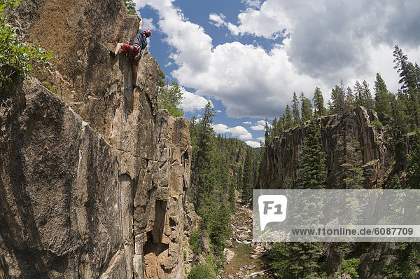 A young man rock climbing in the San Juan National Forest  Durango  Colorado.