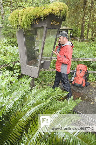 bedecken  Rucksackurlaub  öffentliches Telefon  Münzfernsprecher  Moos  Regenwald  dicht