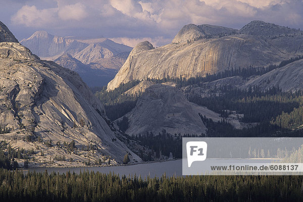 Yosemite Nationalpark  Kalifornien  Tenaya Lake