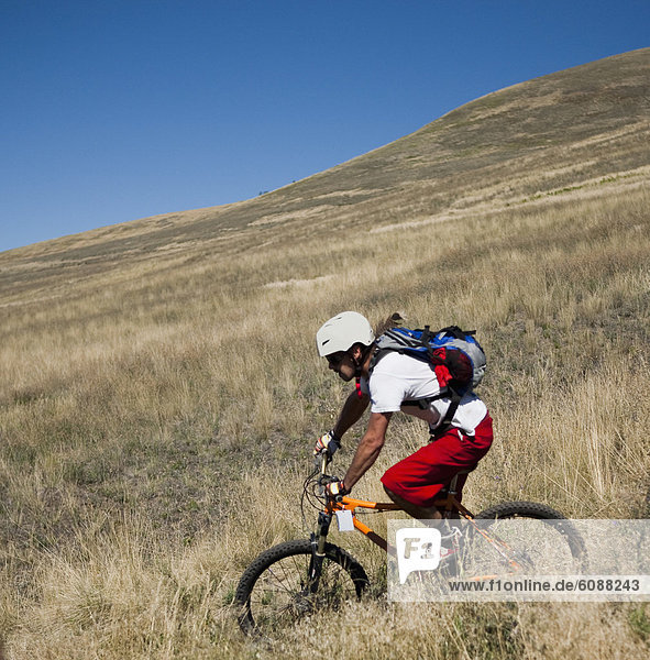 A male mountain biker pedals the trail on Mt. Sentinel  Missoula  Montana.