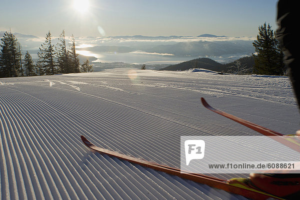 Fröhlichkeit  Skifahrer  Frische  Morgen  folgen  früh  gepflegt