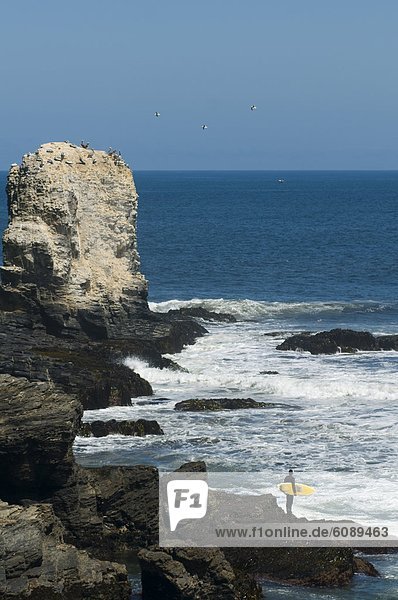 Mann  Felsen  halten  Surfboard  Wellenreiten  surfen  Tauchanzug  Kleidung  zeigen  Chile