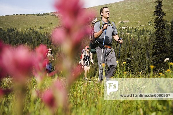 niedrig  Tiefenschärfe  Pinsel  Berg  Indianer  wandern  Wildblume  rot  Ansicht  Flachwinkelansicht  Winkel  selektive Schärfe  Unscharf Maskieren