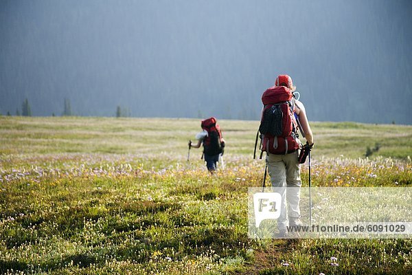 Berg  füllen  füllt  füllend  wandern  Wildblume  Wiese  Backpacker