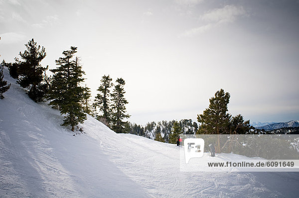 Berg  Fröhlichkeit  sehen  über  Ansicht  Ski  3  bedecken  Schnee