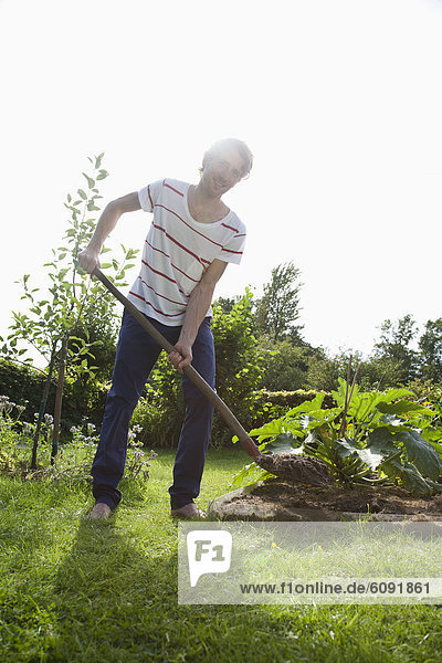 Man gardening in allotment garden