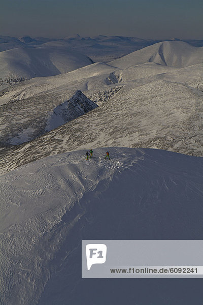 Sweden  Skier standing on polar peak