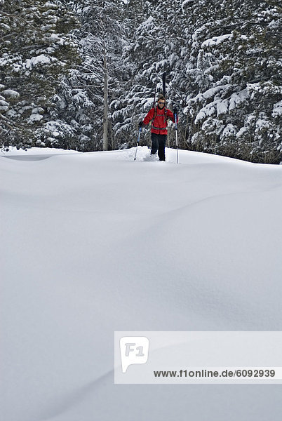 In search of fresh tracks  a young man hikes through knee-deep snow after a night of snowfall  in Lake Tahoe  Nevada.