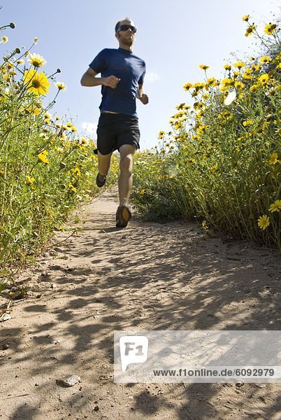 Mann  Blume  folgen  Hügel  rennen  jung  vorwärts  Menschenreihe  Frühling  Kalifornien