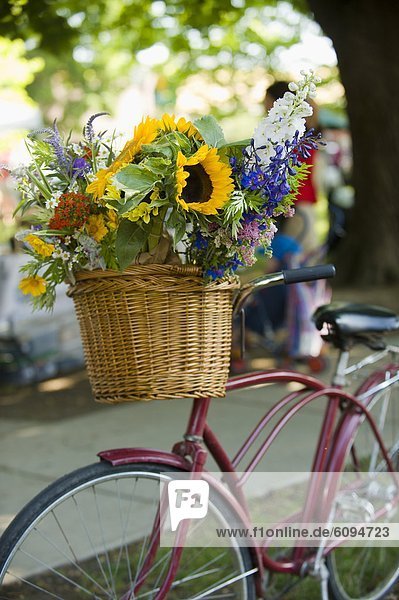 Schönheit  sitzend  Blume  Korb  offen  Markt  alt