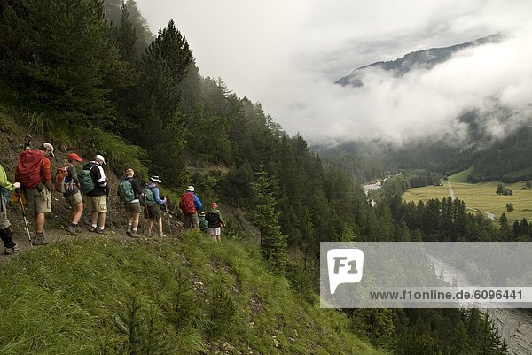Hikers trek down a hillside in a lush forest with a valley below.