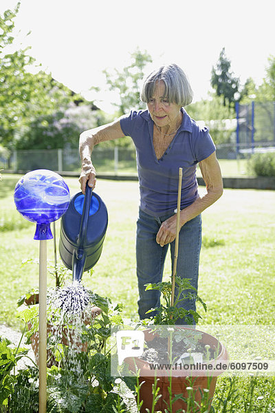 Senior woman watering plants in garden