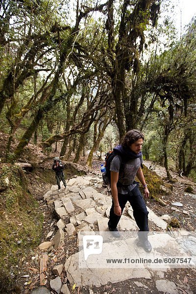 A trekking pair climb through Rhodadendron forest in Nepal.