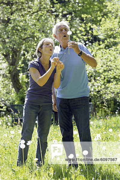 Germany  Bavaria  Senior couple blowing blowball