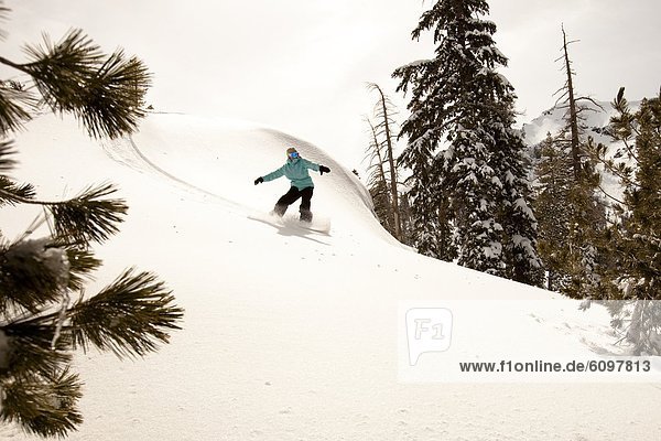 Snowboarding  Snowboardfahrer  Frische  Tal  Kalifornien