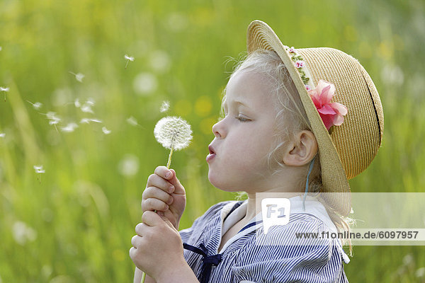 Girl blowing dandelion seed