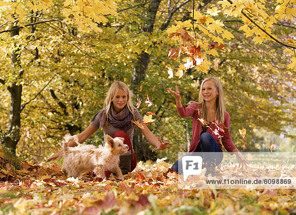 Österreich  Schwestern spielen mit Hund im Herbst