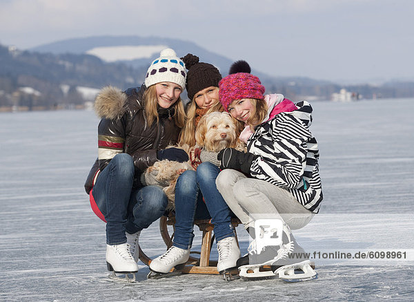 Österreich  Teenagermädchen sitzend auf Schlitten mit Hund  Portrait