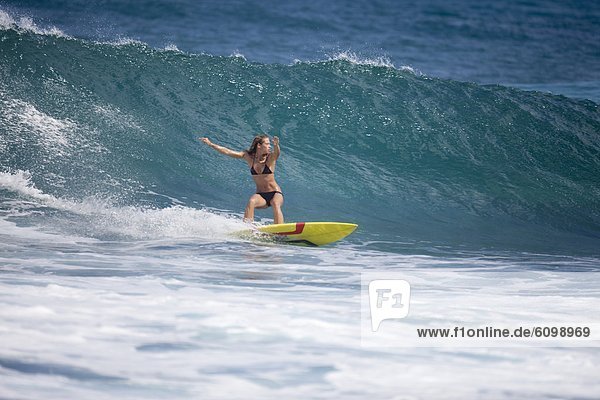 Felsen  zeigen  Mädchen  Hawaii  North Shore  Oahu  Wellenreiten  surfen