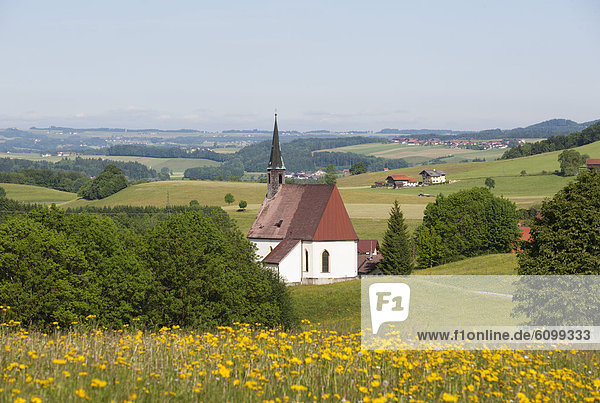 Österreich  Flachgau  Blick auf die gotische Kirche