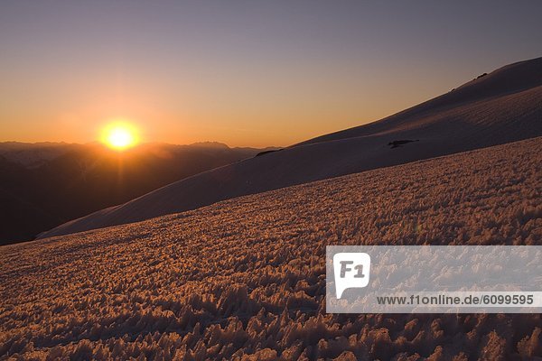 A snow field of penitentes-a conditon caused by differential melting- on Volcan San Jose in the Andes mountains of Chile