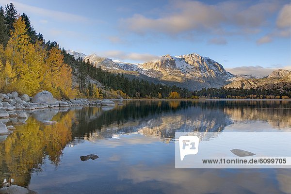 Yellow aspens clouds and a mountain reflecting in June Lake in the fall in the Sierra mountains of California