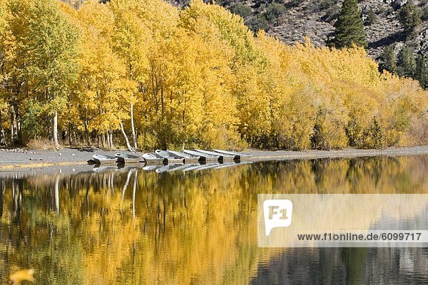 A row of fishing boats and autumn aspens trees reflecting in Silver Lake in the Sierra mountains of California