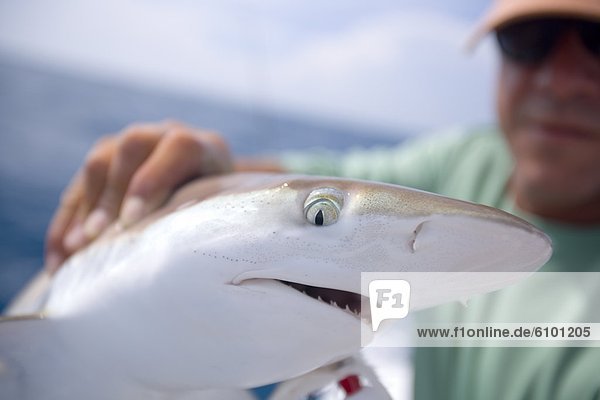 A fisherman holds up a green eyed shark for the camera