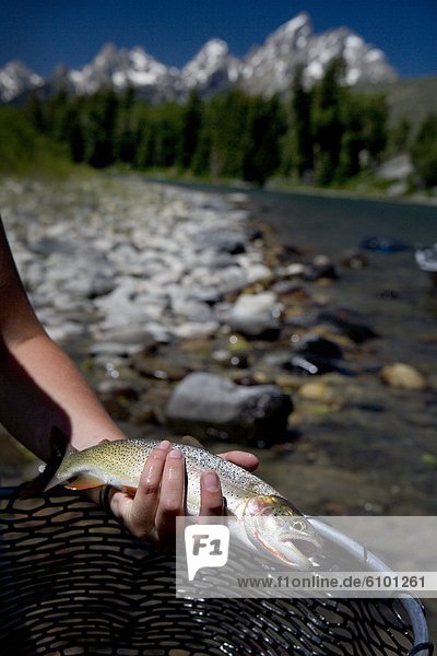 A hand is holding a cutthroat trout with a stream and snow-capped mountains in the background.
