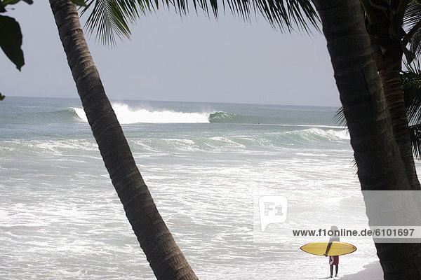 Surfer watching surf under palm trees in Costa Rica