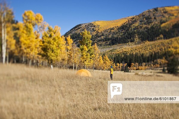 Farbaufnahme  Farbe  Mann  Reise  camping  Zelt  jung  Colorado