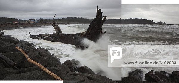 nahe schieben Strand Baum Unfall