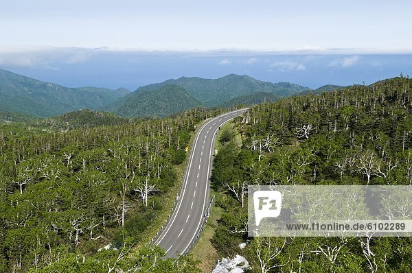View of empty road  Shiretoko Peninsula  Hokkaido  Japan.
