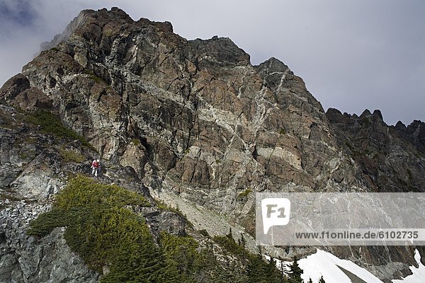 Climber descending off Mount Septimus  Strathcona Park  British Columbia.