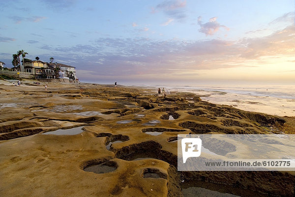 People wander through tide pools at low tide at Hospital Point in La Jolla at sunset  CA.
