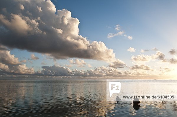 Woman relaxing in a lagoon at sunset  Rarotonga  Cook Islands.