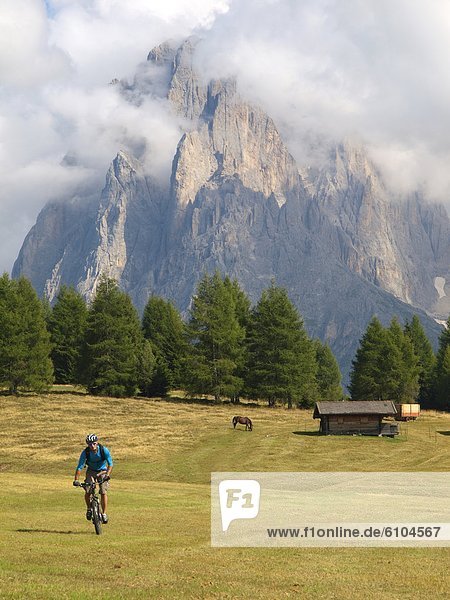 A mountain biker rides through a grassy mountain meadow at Seiser Alm  with a horse  a barn and rock cliffs in the background.