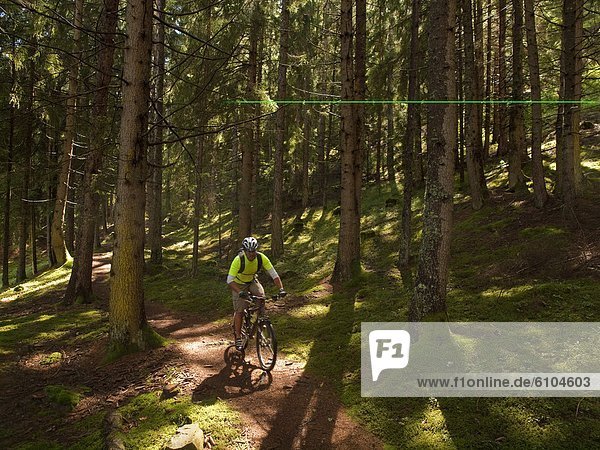 A mountain biker rides in the woods of the Pustertal.
