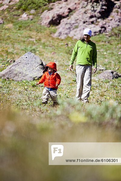 a woman walks with her 2 year old son through an alpine meadow. They are on the Continental Divide Trail (CCT  trail number 813) just north of Squaw Pass.