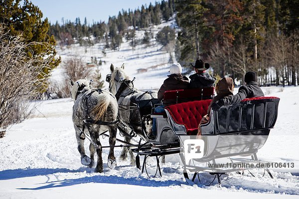 friends sit under blankets in the winter  on snow filled sleigh ride.