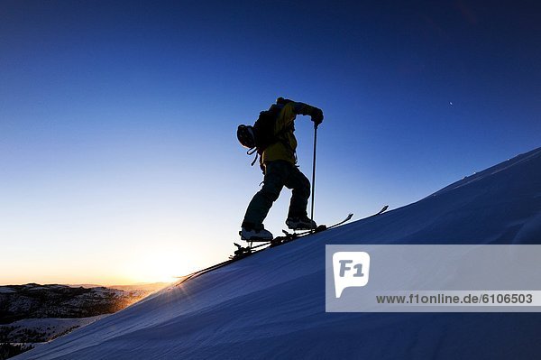 A silhouette of a skier skinning up a snow covered slope at sunrise in the Sierra Nevada near Lake Tahoe  California.