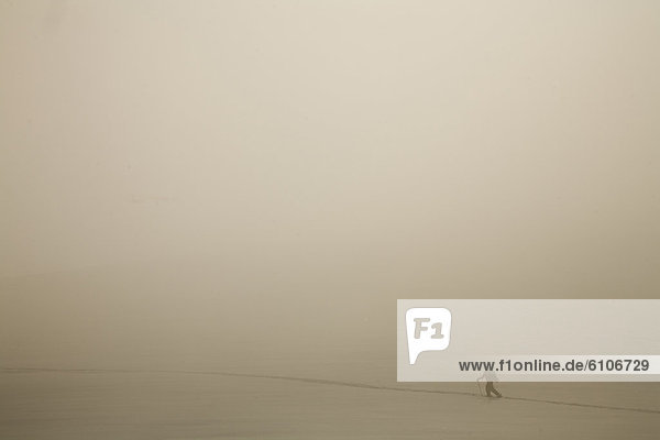 Spur  Skifahrer  Silhouette  Nebel  unbewohnte  entlegene Gegend  vorwärts