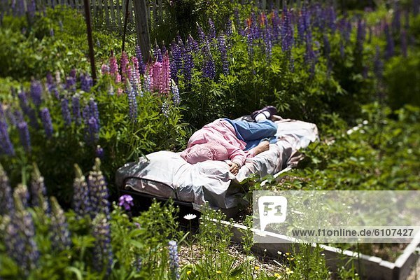 Frau  nehmen  Blume  Senior  Senioren  dösen  Garten  umgeben  Pflanze  Idaho