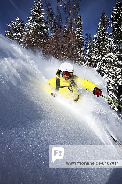 Skifahrer , Tag , Frische , drehen , Athlet , Gesichtspuder , Sonnenlicht , Colorado