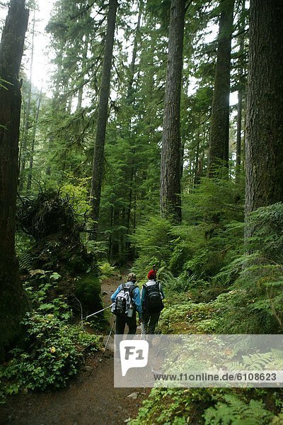 Hikers enjoy the Hoh Rain Forest in Olympia National Park