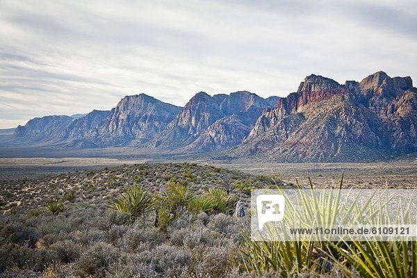 Vereinigte Staaten von Amerika USA Felsbrocken Schutz Nevada rot Zimmer Schlucht